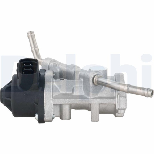 DELPHI AGR-Ventil EG10738-12B1