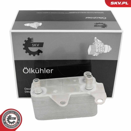 ESEN SKV &Ouml;lk&uuml;hler, Motor&ouml;l 31SKV363