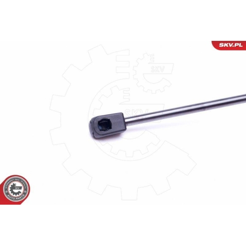 ESEN SKV Gasfeder, Koffer-/Laderaum