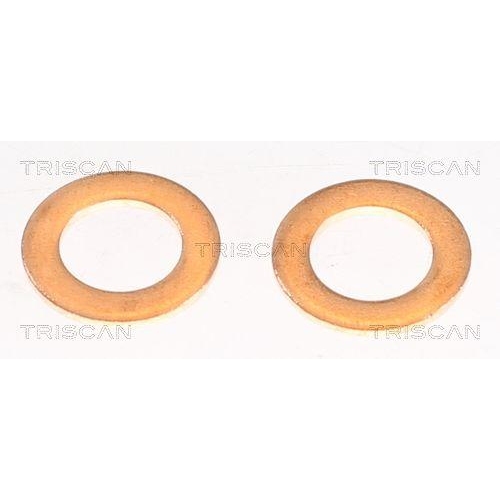 TRISCAN Bremsschlauch 8150 14186