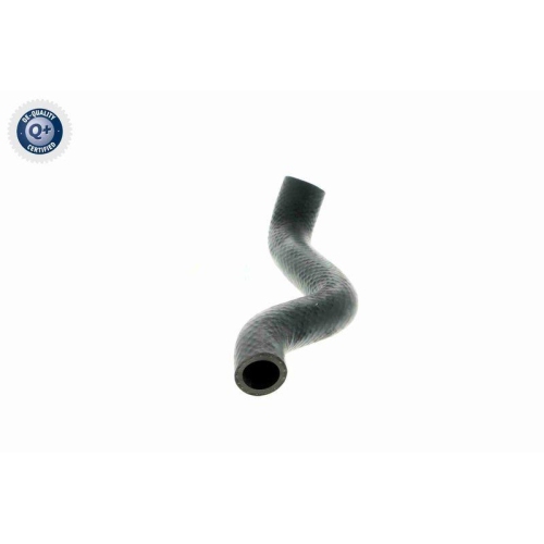 VAICO K&uuml;hlerschlauch Q+, Erstausr&uuml;sterqualit&auml;t V20-1238