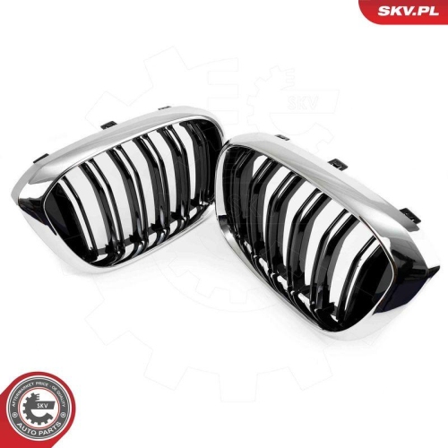 ESEN SKV Kühlergitter 66SKV263