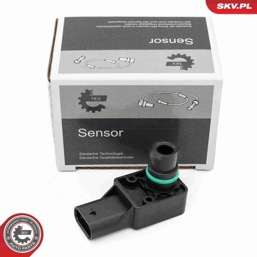 ESEN SKV Sensor, Abgasdruck 17SKV862