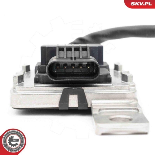 ESEN SKV NOx-Sensor, NOx-Katalysator