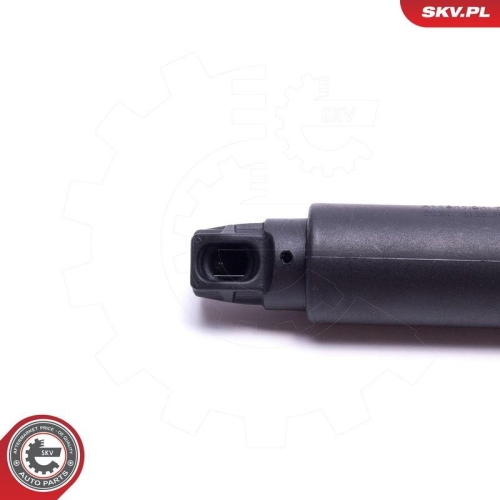 ESEN SKV Elektromotor, Heckklappe 52SKV927