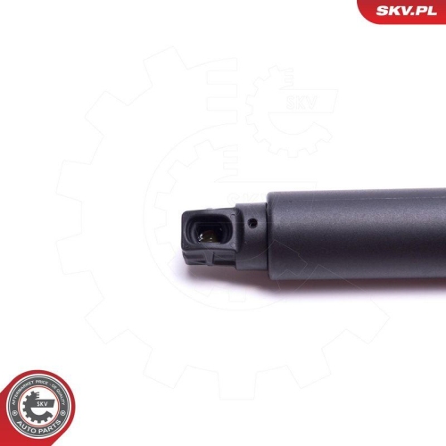 ESEN SKV Elektromotor, Heckklappe 52SKV928