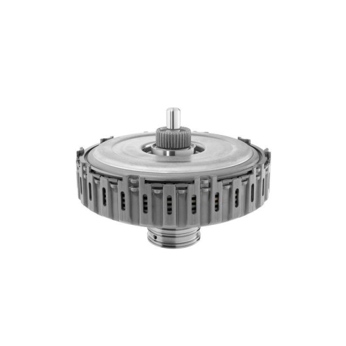 BorgWarner Kupplungsmodul OE-Version/Erstausr&uuml;stung 202152