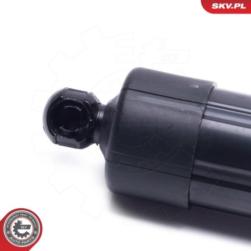 ESEN SKV Elektromotor, Heckklappe 52SKV961