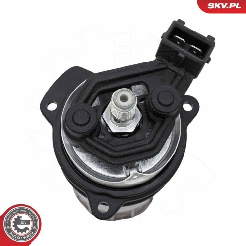 ESEN SKV Kraftstoffpumpe 02SKV251