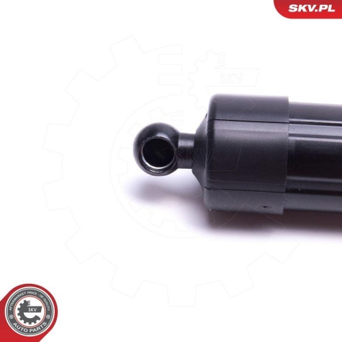 ESEN SKV Elektromotor, Heckklappe 52SKV938