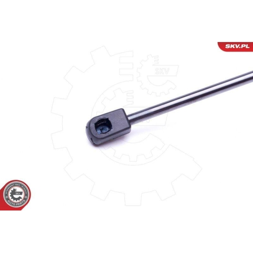 ESEN SKV Gasfeder, Koffer-/Laderaum