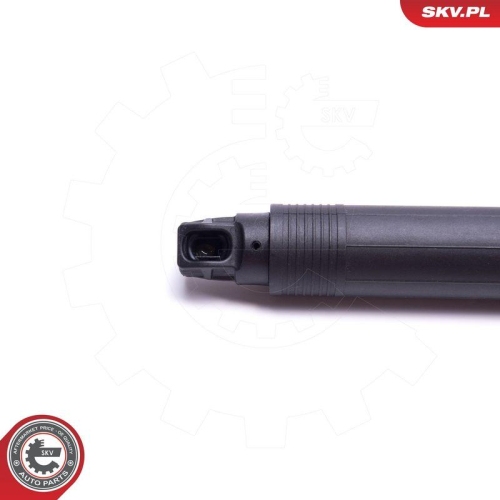 ESEN SKV Elektromotor, Heckklappe 52SKV941