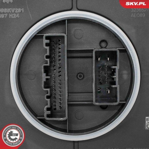 ESEN SKV Steuerger&auml;t, Beleuchtung