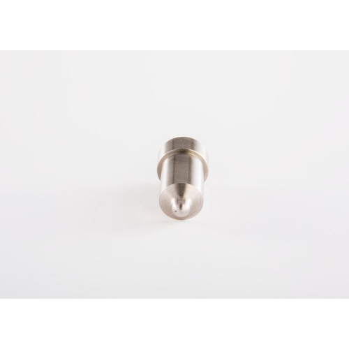 BOSCH Einspritzd&uuml;se 0 433 250 055