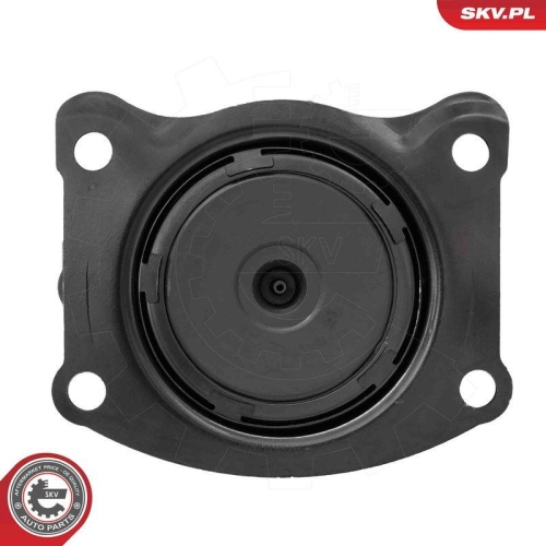 ESEN SKV Lagerung, Motor