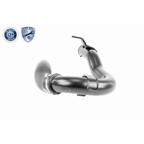 VAICO Ladeluftschlauch EXPERT KITS + V24-0718