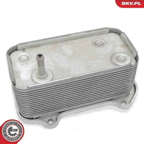 ESEN SKV &Ouml;lk&uuml;hler, Motor&ouml;l 31SKV334
