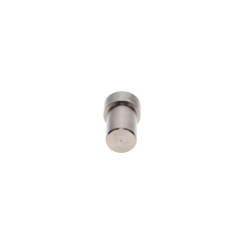 BOSCH Einspritzd&uuml;se 0 434 250 149