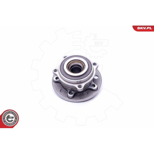 ESEN SKV Radlagersatz 29SKV285