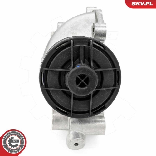 ESEN SKV AGR-Ventil 14SKV257