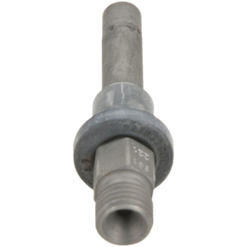 BOSCH Einspritzventil 0 437 502 002