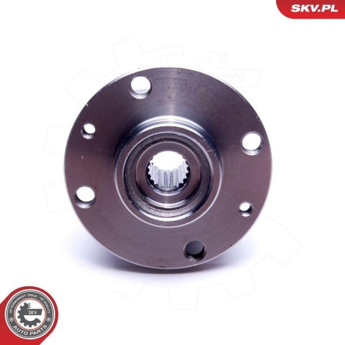ESEN SKV Radlagersatz 29SKV455