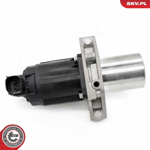 ESEN SKV AGR-Ventil 14SKV284
