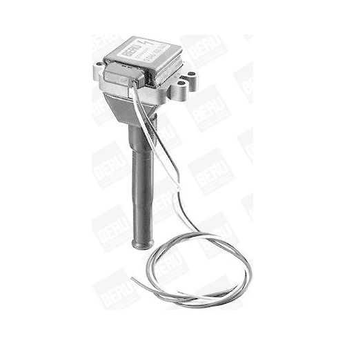 BorgWarner (BERU) Zündspule ZS043