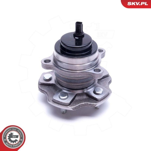 ESEN SKV Radlagersatz 29SKV498