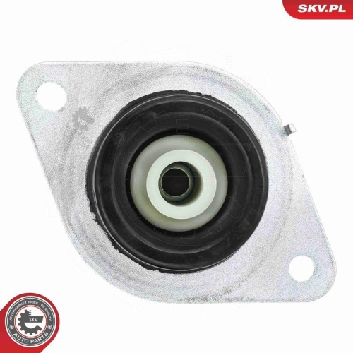 ESEN SKV Lagerung, Motor 75SKV090