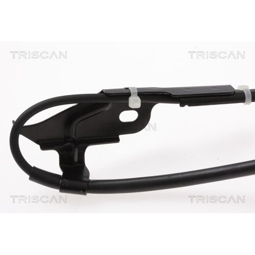 TRISCAN Bremsschlauch 8150 13162