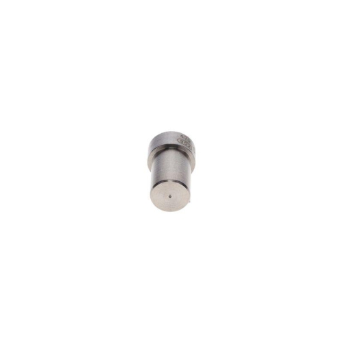 BOSCH Einspritzd&uuml;se 0 434 250 163