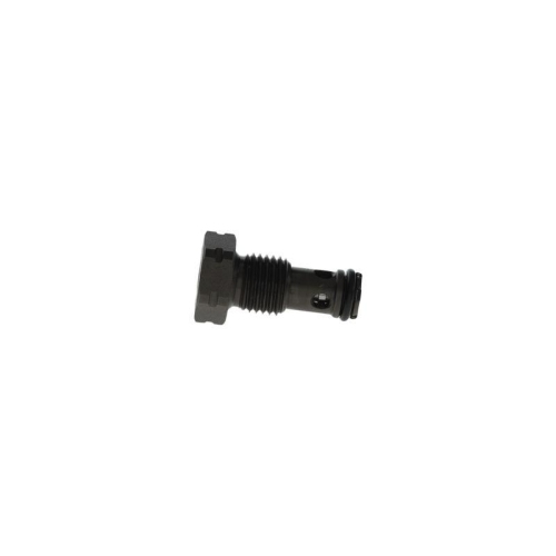 BOSCH Ventil, Einspritzanlage F 00N 202 279