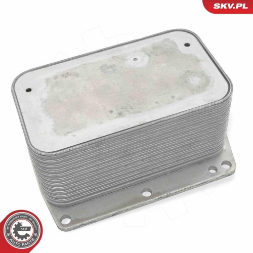 ESEN SKV &Ouml;lk&uuml;hler, Motor&ouml;l 31SKV344