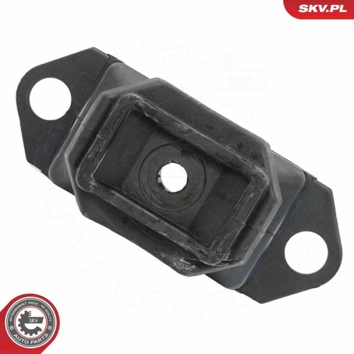 ESEN SKV Lagerung, Motor 75SKV065