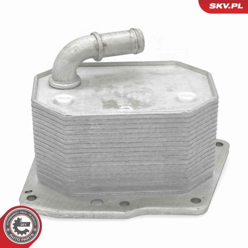 ESEN SKV &Ouml;lk&uuml;hler, Motor&ouml;l 31SKV348