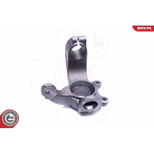 ESEN SKV Achsschenkel, Radaufh&auml;ngung