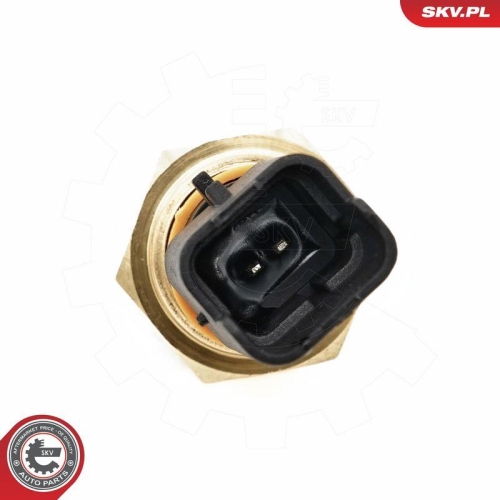 ESEN SKV Sensor, Motor&ouml;lstand 17SKV925