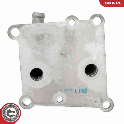 ESEN SKV &Ouml;lk&uuml;hler, Motor&ouml;l