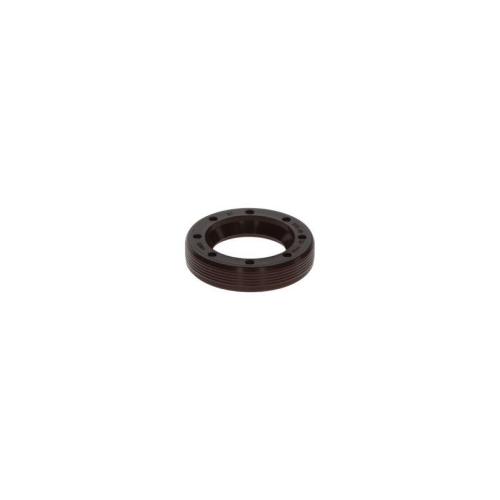 BOSCH Dichtung F 00N 202 338
