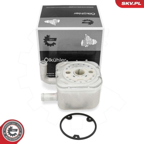 ESEN SKV &Ouml;lk&uuml;hler, Motor&ouml;l 31SKV292