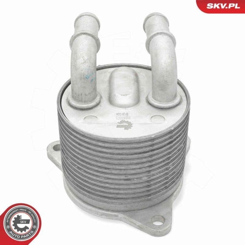 ESEN SKV &Ouml;lk&uuml;hler, Automatikgetriebe