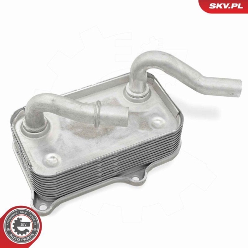 ESEN SKV &Ouml;lk&uuml;hler, Motor&ouml;l 31SKV295
