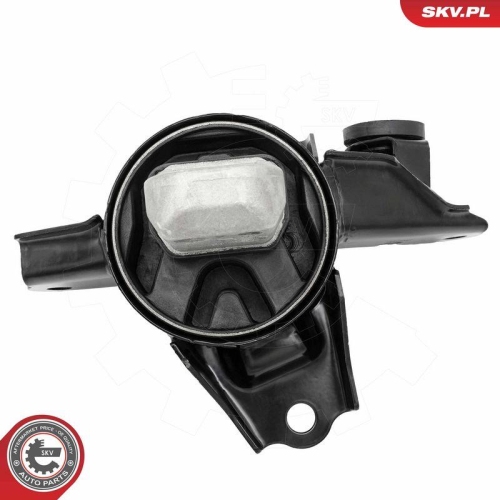 ESEN SKV Lagerung, Motor 75SKV015