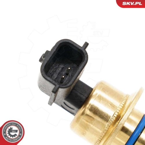 ESEN SKV Sensor, Motor&ouml;lstand 17SKV944