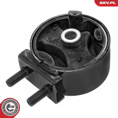 ESEN SKV Lagerung, Motor 75SKV021