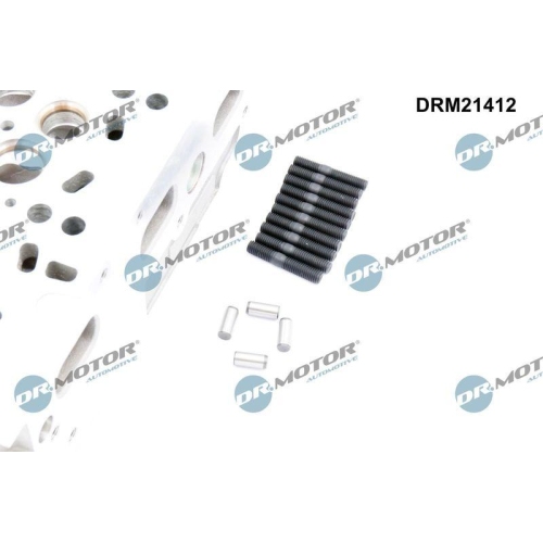 Dr.Motor Automotive Zylinderkopf DRM21412
