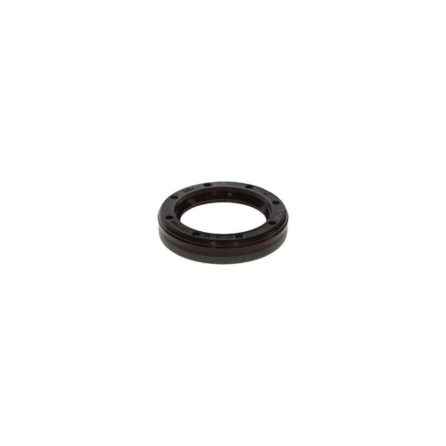 BOSCH Dichtung F 00N 202 658
