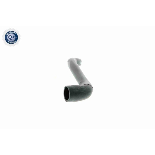 VAICO Schlauch, Zylinderkopfhaubenentl&uuml;ftung Q+, Erstausr&uuml;sterqualit&auml;t V22-1070