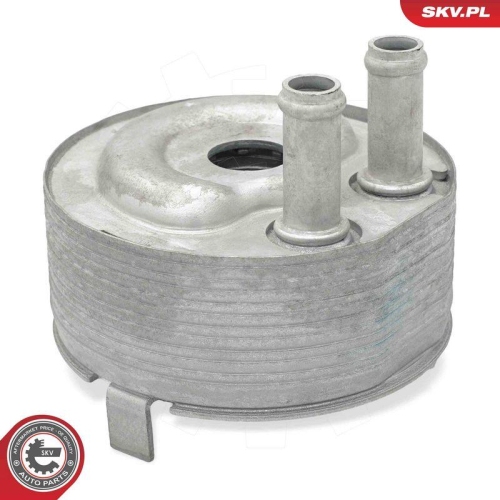 ESEN SKV &Ouml;lk&uuml;hler, Motor&ouml;l 31SKV314